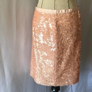 ANN TAYLOR LOFT Pink Sequin Skirt